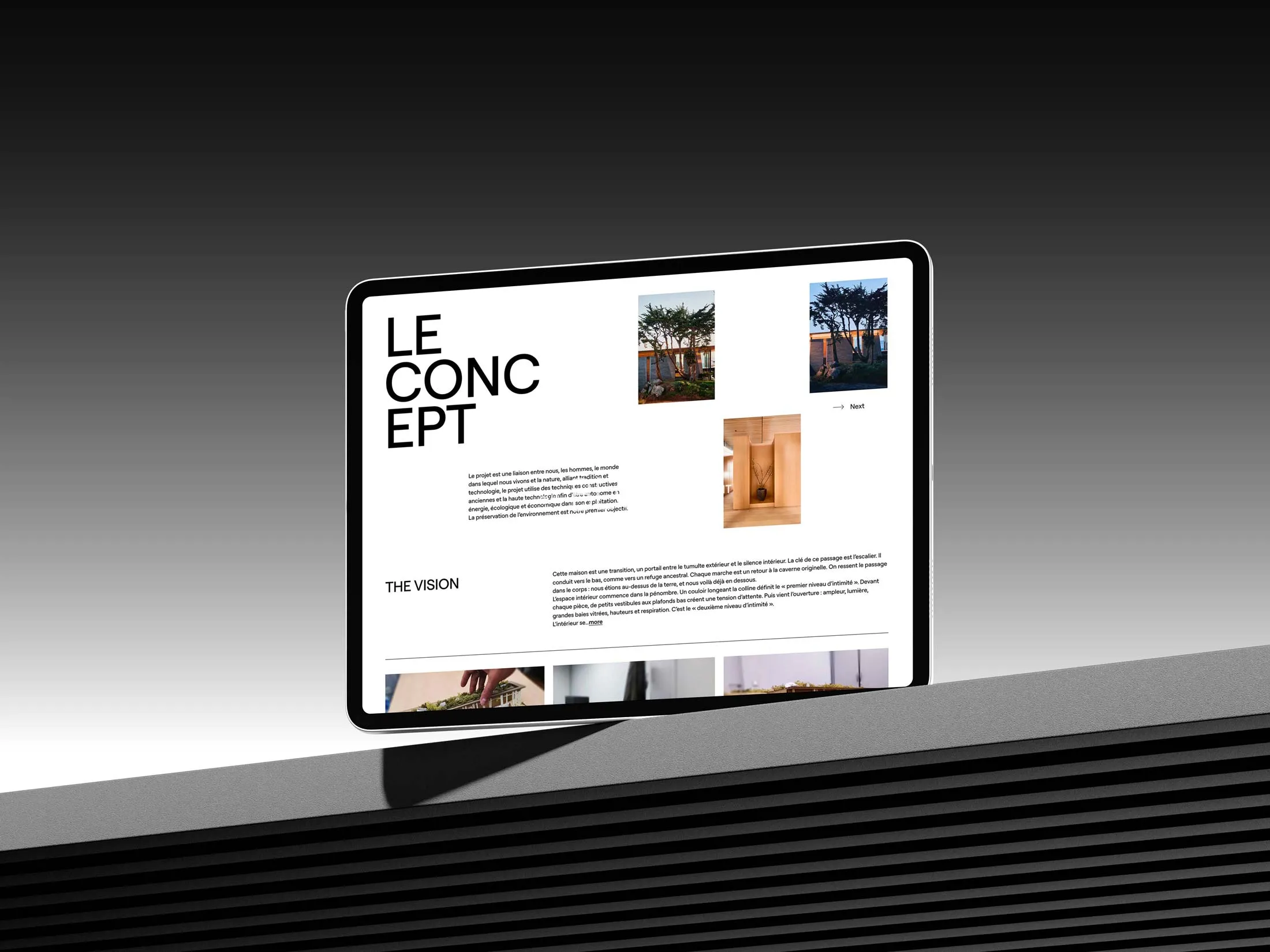 Project slide